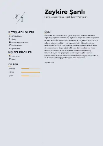 Hasta ve Yaşlı Bakım Elemanı Cv Örnekleri cv indir